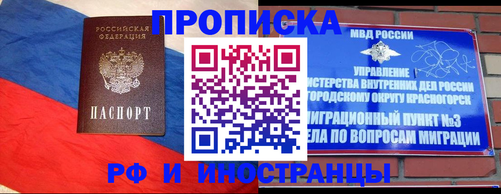 временная регистрация для всех в Тереке